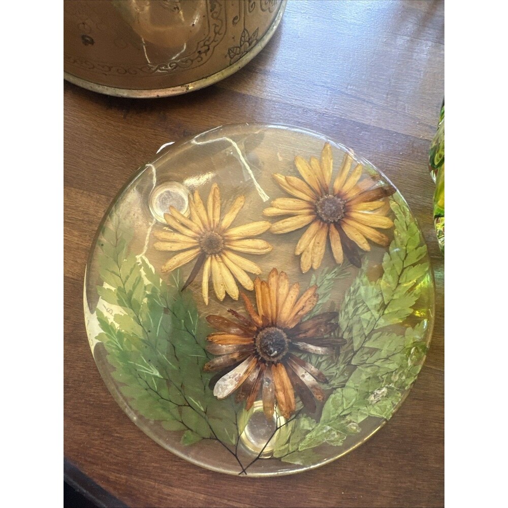 Dried Flower Resin Trivet 1970's Daisy Green Leaf